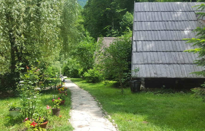 Arrangement A1 – Tara River Canyon ( 2days / 1 night)