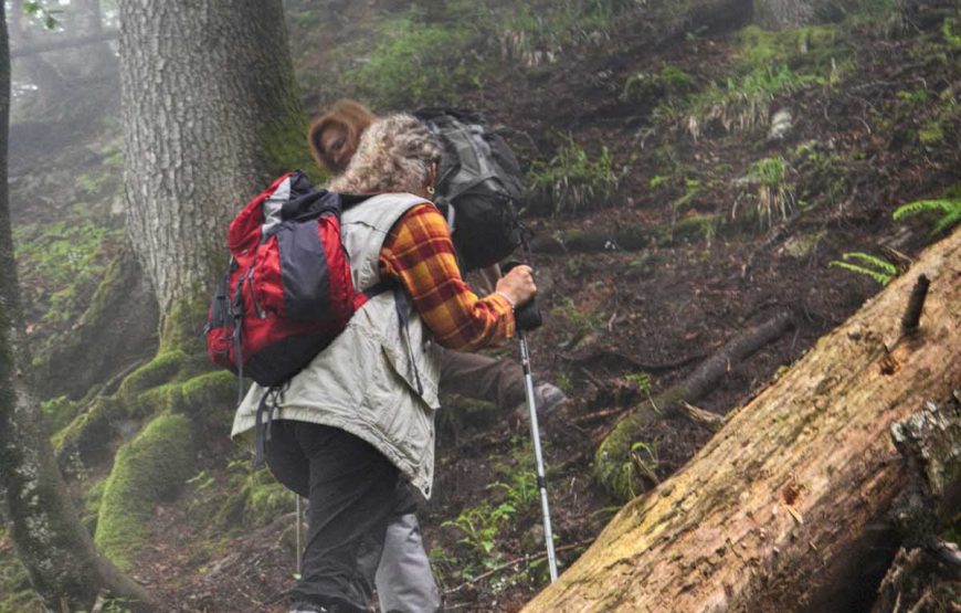 Arrangement A3 – Primeval-forest Perucica & Tara Rafting (3 days / 2 nights)