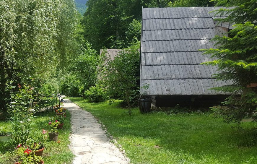Arrangement A3 – Primeval-forest Perucica & Tara Rafting (3 days / 2 nights)