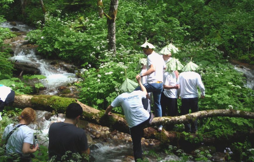 Arrangement A3 – Primeval-forest Perucica & Tara Rafting (3 days / 2 nights)