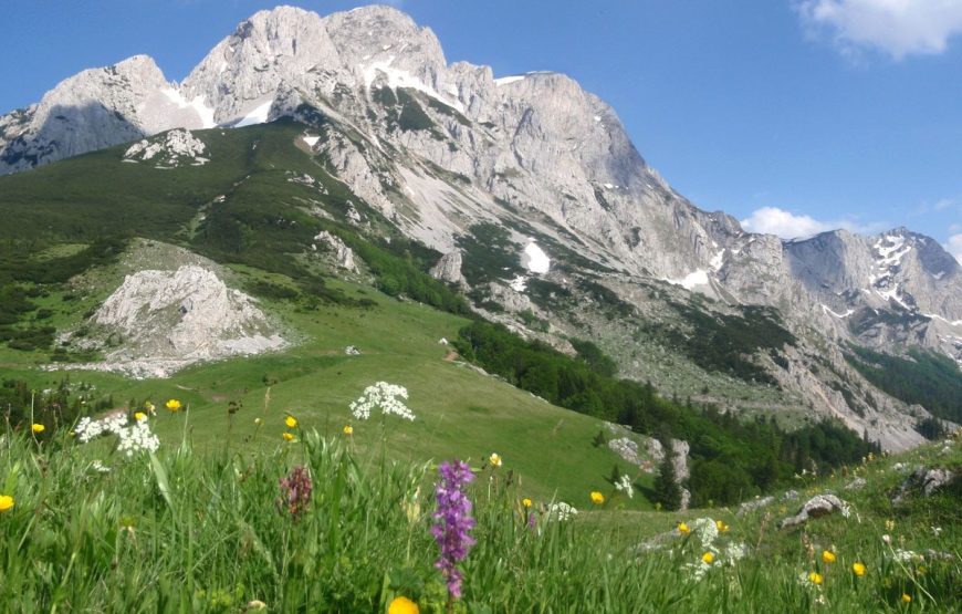 Arrangement A10 – Tara Canyon & NP Sutjeska (5 days / 4 nights)