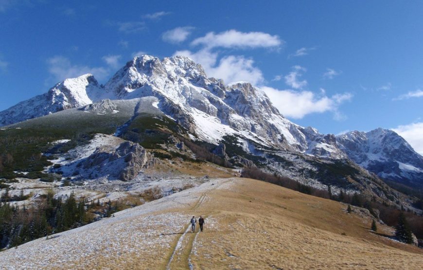 Arrangement A3 – Primeval-forest Perucica & Tara Rafting (3 days / 2 nights)