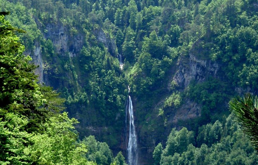 Arrangement A3 – Primeval-forest Perucica & Tara Rafting (3 days / 2 nights)