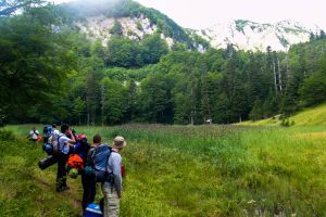 Beautyful-nature-in-national-park