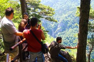 Viewpoint-from-Prime-foreset-Perucica