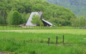 13987632523469_sutjeska-1