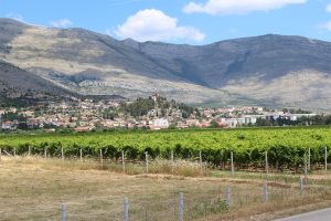Trebinje-winejard