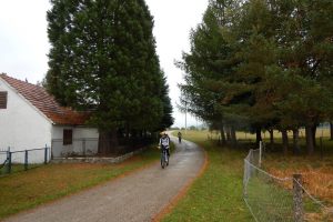bike-10