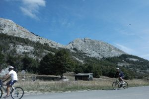 bike11