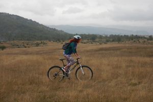 bike4