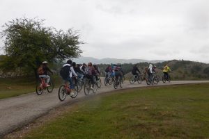 bike8-1